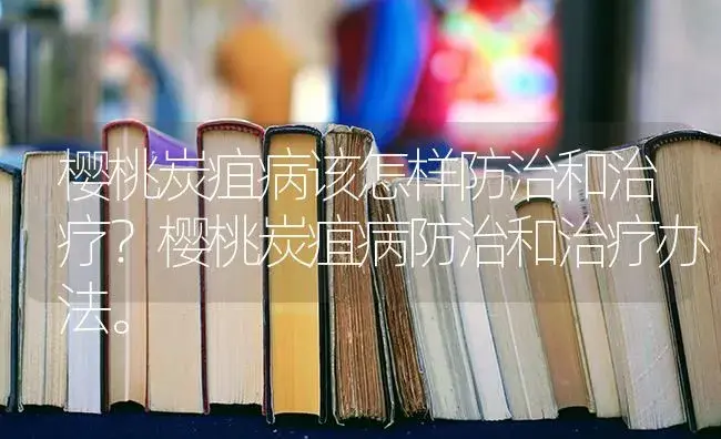 樱桃炭疽病该怎样防治和治疗？樱桃炭疽病防治和治疗办法。 | 果木种植