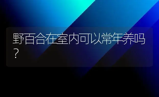 野百合在室内可以常年养吗？ | 绿植常识