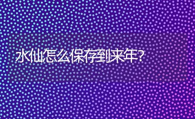 水仙怎么保存到来年？ | 绿植常识