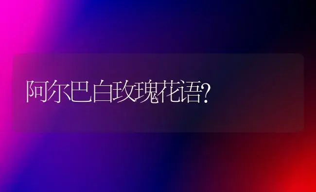 阿尔巴白玫瑰花语？ | 绿植常识