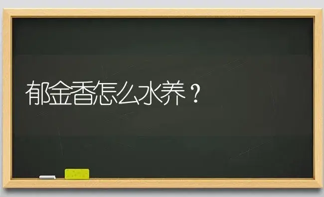 郁金香怎么水养？ | 绿植常识