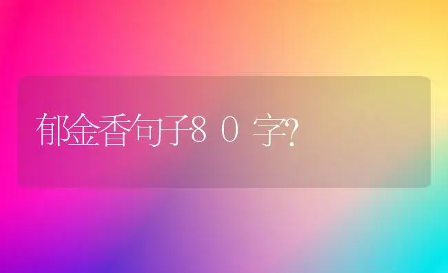 郁金香句子80字？ | 绿植常识