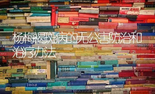 杨梅褐斑病的无公害防治和治疗办法 | 果木种植