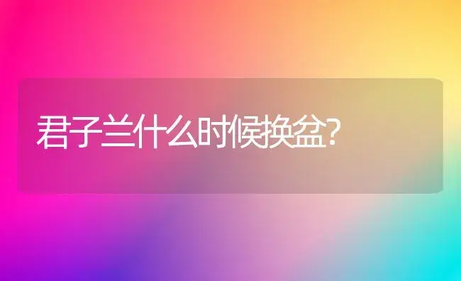 君子兰什么时候换盆？ | 绿植常识