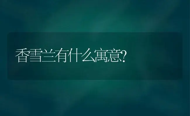 香雪兰有什么寓意？ | 多肉养殖