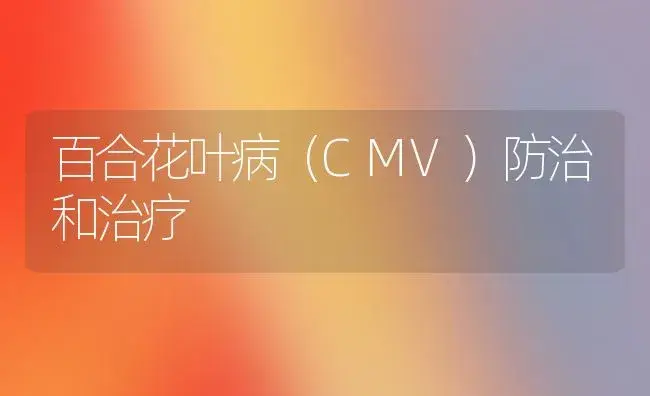 百合花叶病（CMV）防治和治疗 | 家庭养花