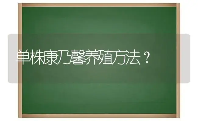 单株康乃馨养殖方法？ | 绿植常识