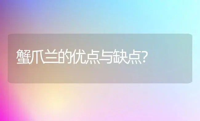 蟹爪兰的优点与缺点？ | 多肉养殖