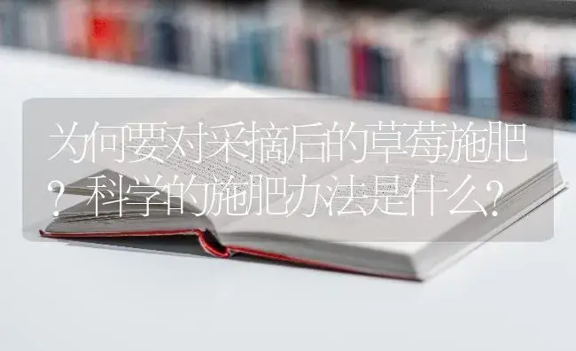 为何要对采摘后的草莓施肥？科学的施肥办法是什么？ | 果木种植