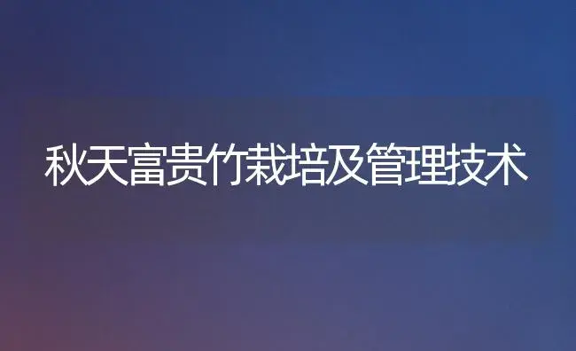 秋天富贵竹栽培及管理技术 | 家庭养花