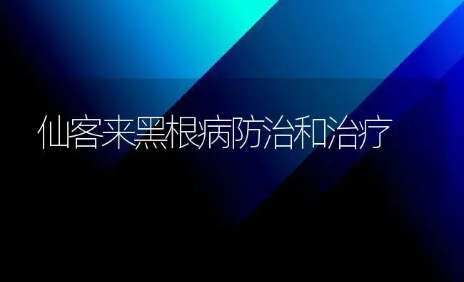 仙客来黑根病防治和治疗 | 家庭养花