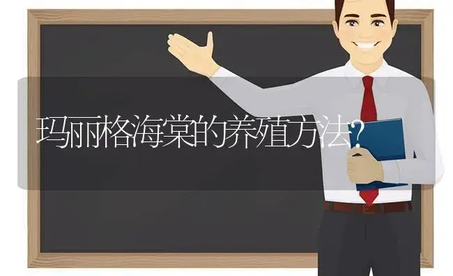 玛丽格海棠的养殖方法？ | 绿植常识