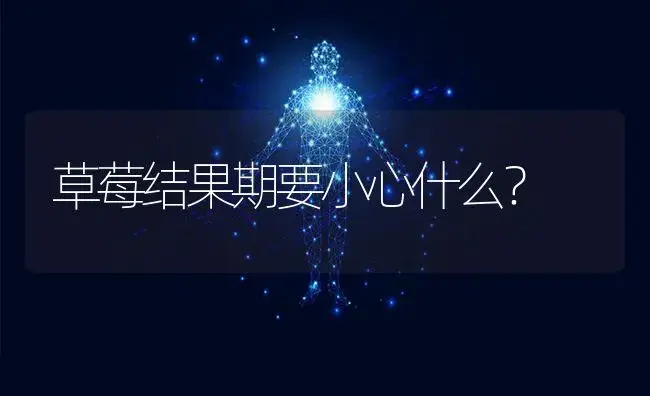 草莓结果期要小心什么？ | 果木种植