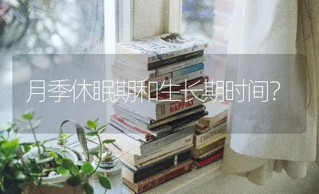 怎样品尝老枞水仙？ | 绿植常识