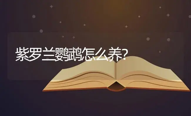 紫罗兰鹦鹉怎么养？ | 绿植常识