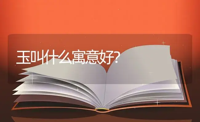 玉叫什么寓意好？ | 多肉养殖