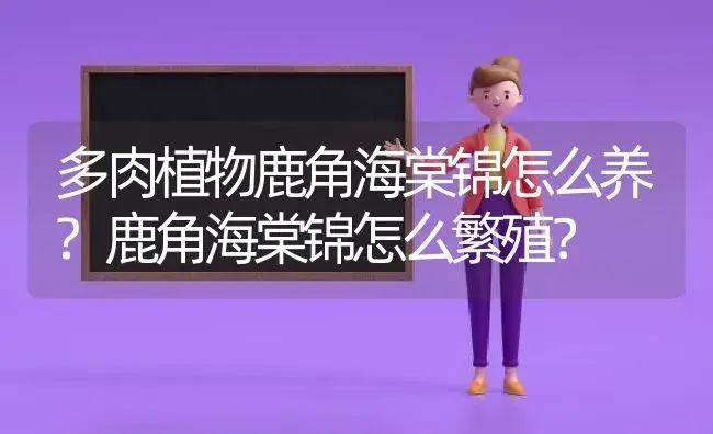 多肉植物鹿角海棠锦怎么养?鹿角海棠锦怎么繁殖？ | 多肉养殖