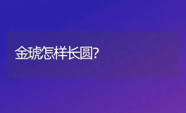 金琥怎样长圆？ | 多肉养殖