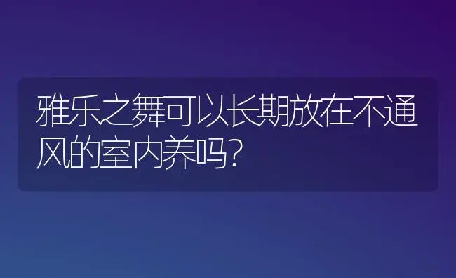 雅乐之舞可以长期放在不通风的室内养吗？ | 多肉养殖