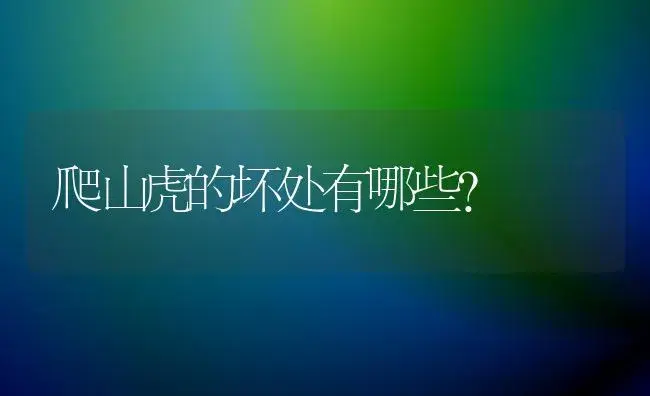 爬山虎的坏处有哪些？ | 家庭养花