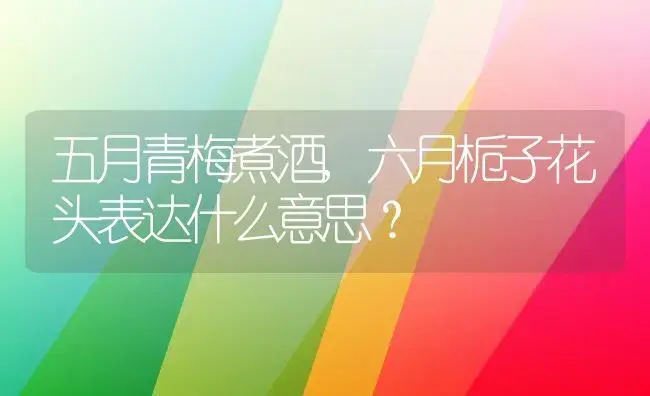 五月青梅煮酒,六月栀子花头表达什么意思？ | 绿植常识