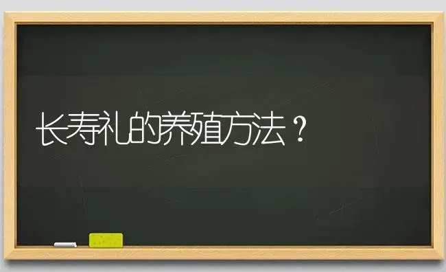 长寿花叶子发黄轻轻一碰就掉咋办？ | 多肉养殖