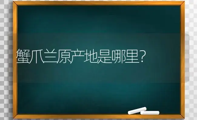 蟹爪兰原产地是哪里？ | 多肉养殖