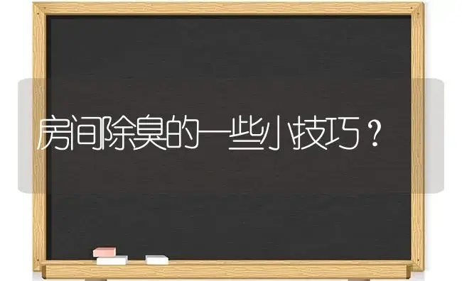 房间除臭的一些小技巧？ | 绿植常识