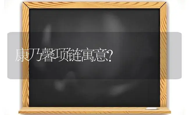 康乃馨项链寓意？ | 绿植常识