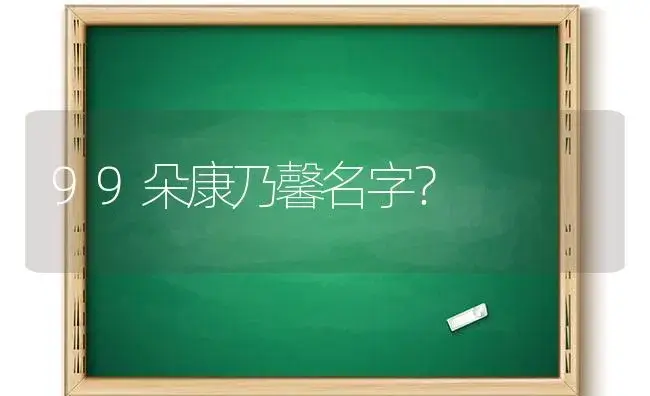 99朵康乃馨名字？ | 绿植常识