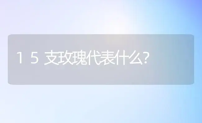 15支玫瑰代表什么？ | 绿植常识