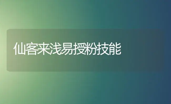 仙客来浅易授粉技能 | 家庭养花