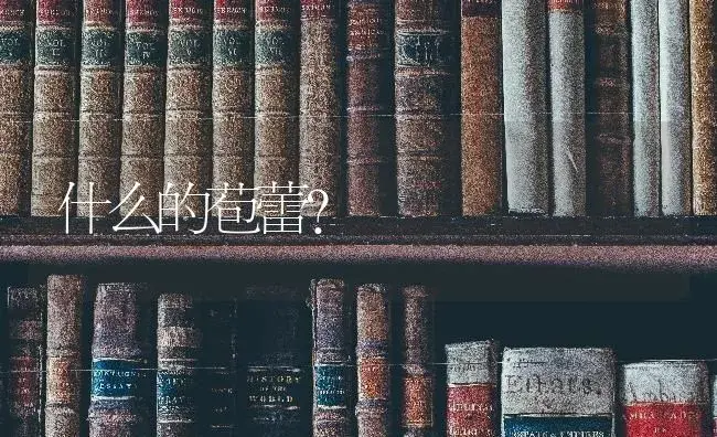 什么的苞蕾？ | 绿植常识