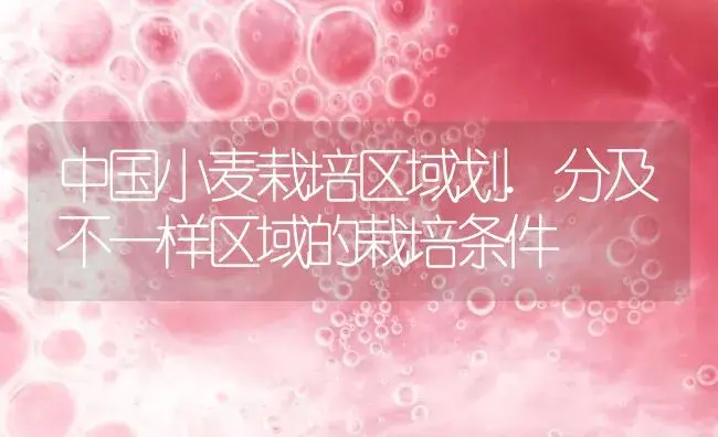 中国小麦栽培区域划.分及不一样区域的栽培条件 | 农作物种植