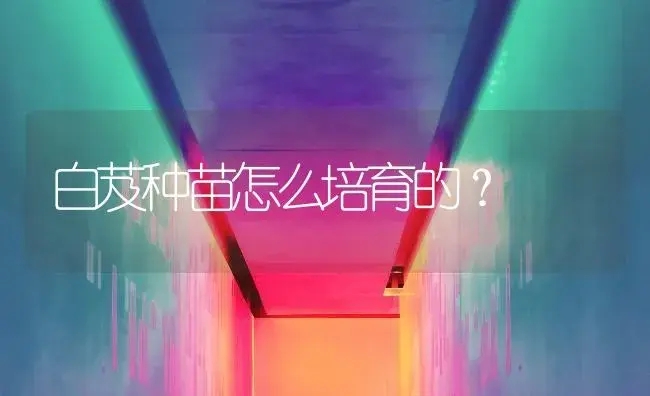 白芨种苗怎么培育的？ | 药材种植