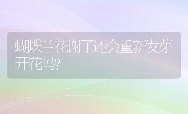 蝴蝶兰花谢了还会重新发芽开花吗？ | 绿植常识