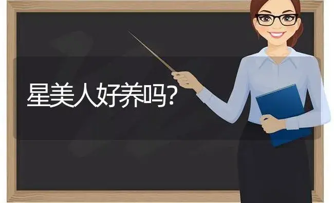 星美人好养吗？ | 多肉养殖