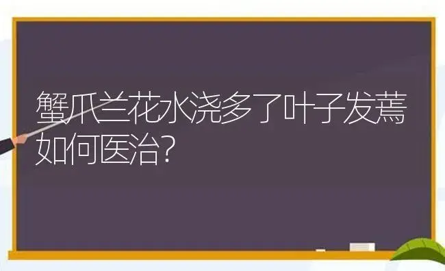 蟹爪兰花水浇多了叶子发蔫如何医治？ | 多肉养殖