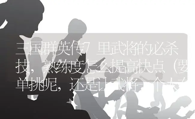 三国群英传7里武将的必杀技,熟练度怎么提高快点（要单挑呢,还是让武将一个人在敌兵堆里翻。）？ | 多肉养殖