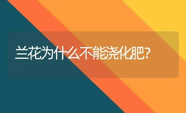 兰花为什么不能浇化肥？ | 绿植常识