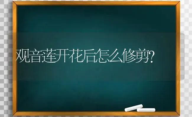 观音莲开花后怎么修剪？ | 多肉养殖