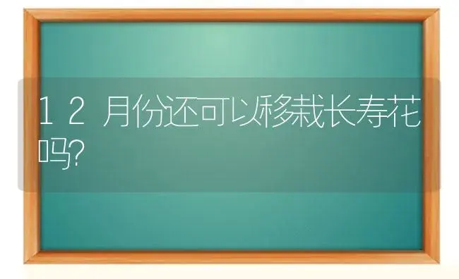 12月份还可以移栽长寿花吗？ | 多肉养殖