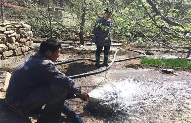 苹果树越冬防寒办法