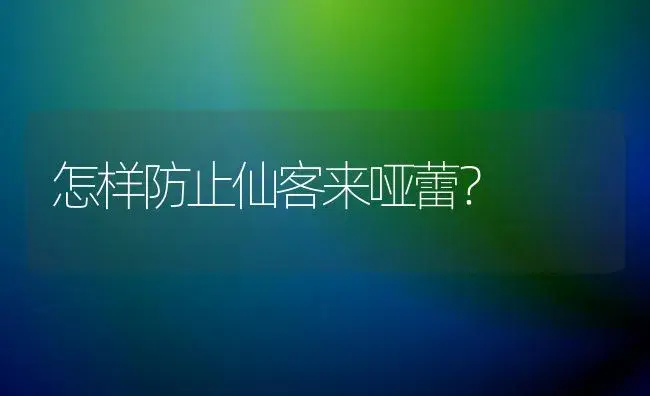 怎样防止仙客来哑蕾？ | 家庭养花