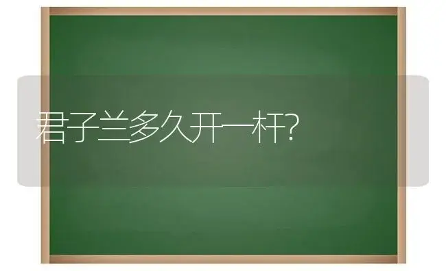 君子兰多久开一杆？ | 绿植常识