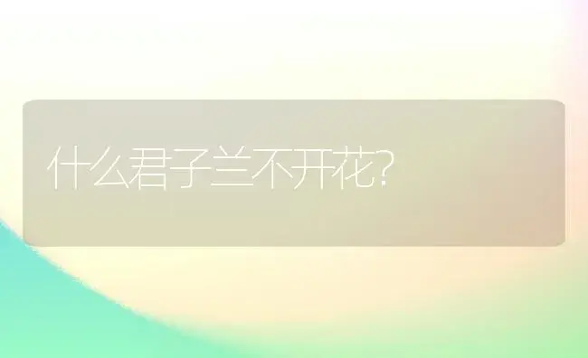 什么君子兰不开花？ | 绿植常识