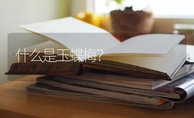 生石花掰开了里面有小的怎么办？ | 多肉养殖