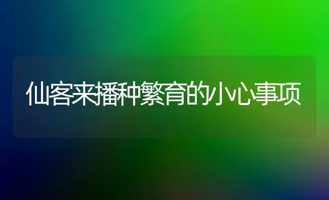 仙客来播种繁育的小心事项 | 家庭养花