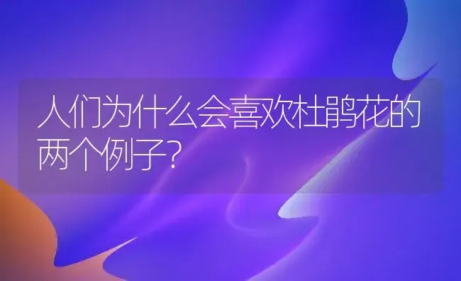 人们为什么会喜欢杜鹃花的两个例子？ | 绿植常识