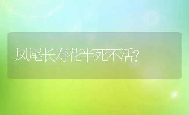 凤尾长寿花半死不活？ | 多肉养殖